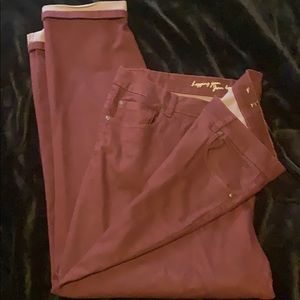 size 26 burgundy jeans super soft regular fit